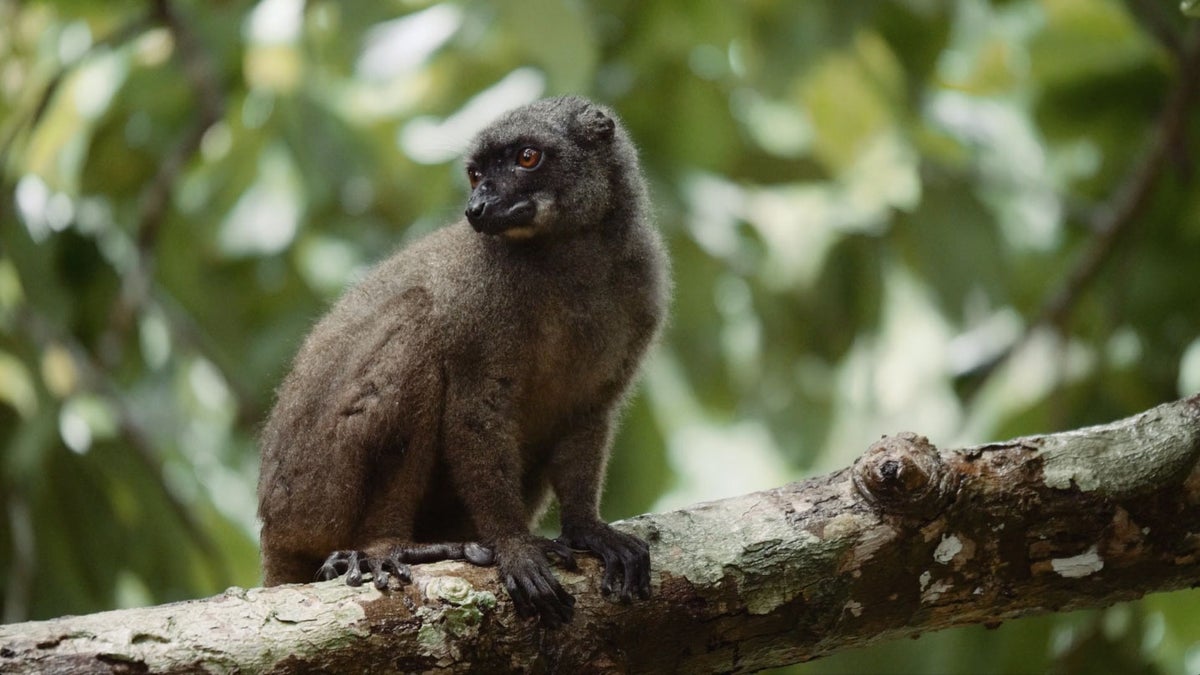 The Beauty of Madagascar