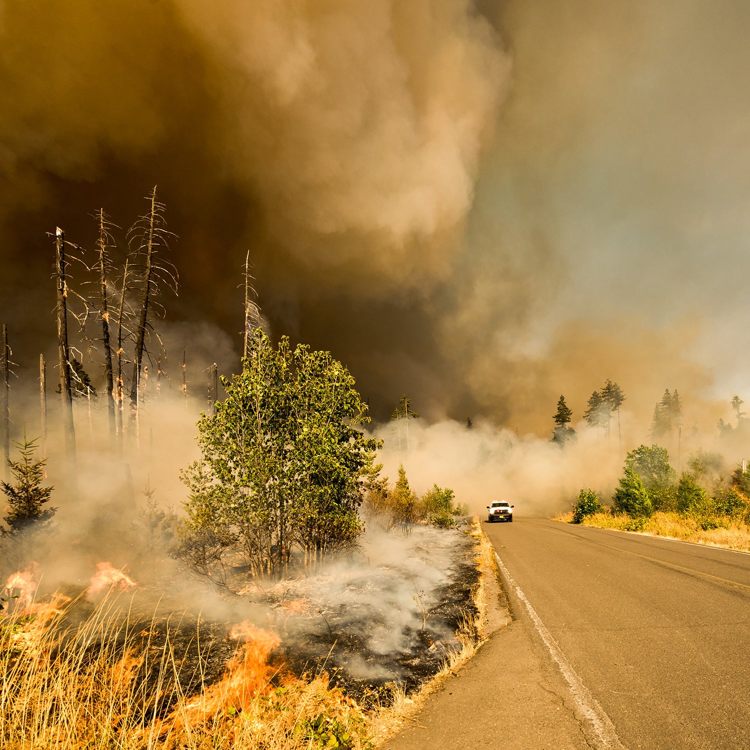 If it feels like America has entered an era of never-ending fire seasons, that’s because it has.