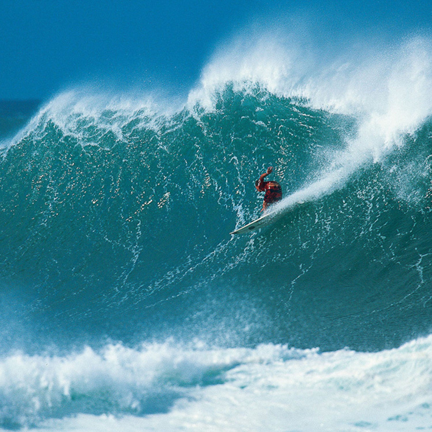 What Can Surfing Tell Us About Addiction? - The New York Times