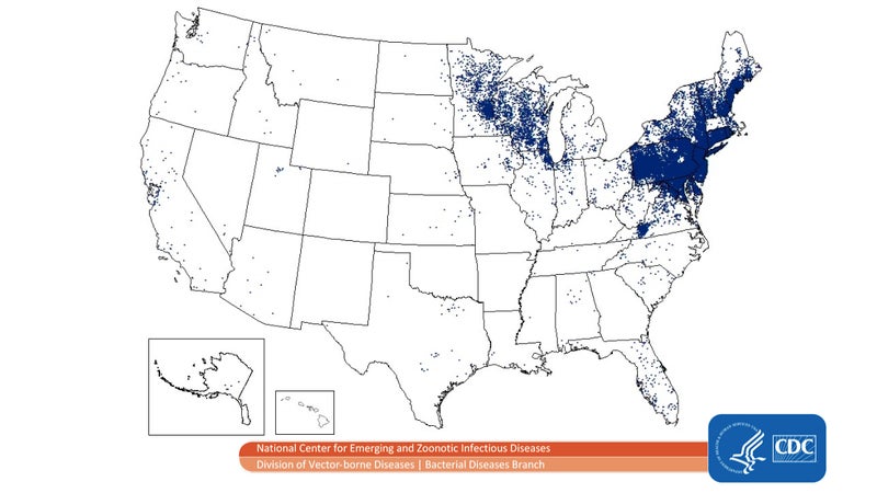 Ticks occur around the world, by Lyme is still largely isolated to the Northeast and Midwest. If you live in or plan to travel through one of the heavily shaded areas (each dot indicates a reported case), you need to be incredibly vigilant about ticks.