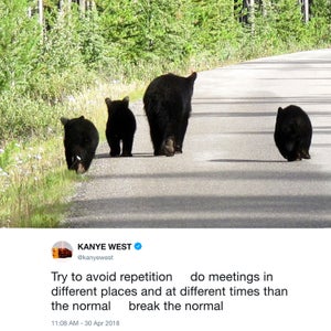 No one has mashed up Kanye Tweets with photos of bears before.