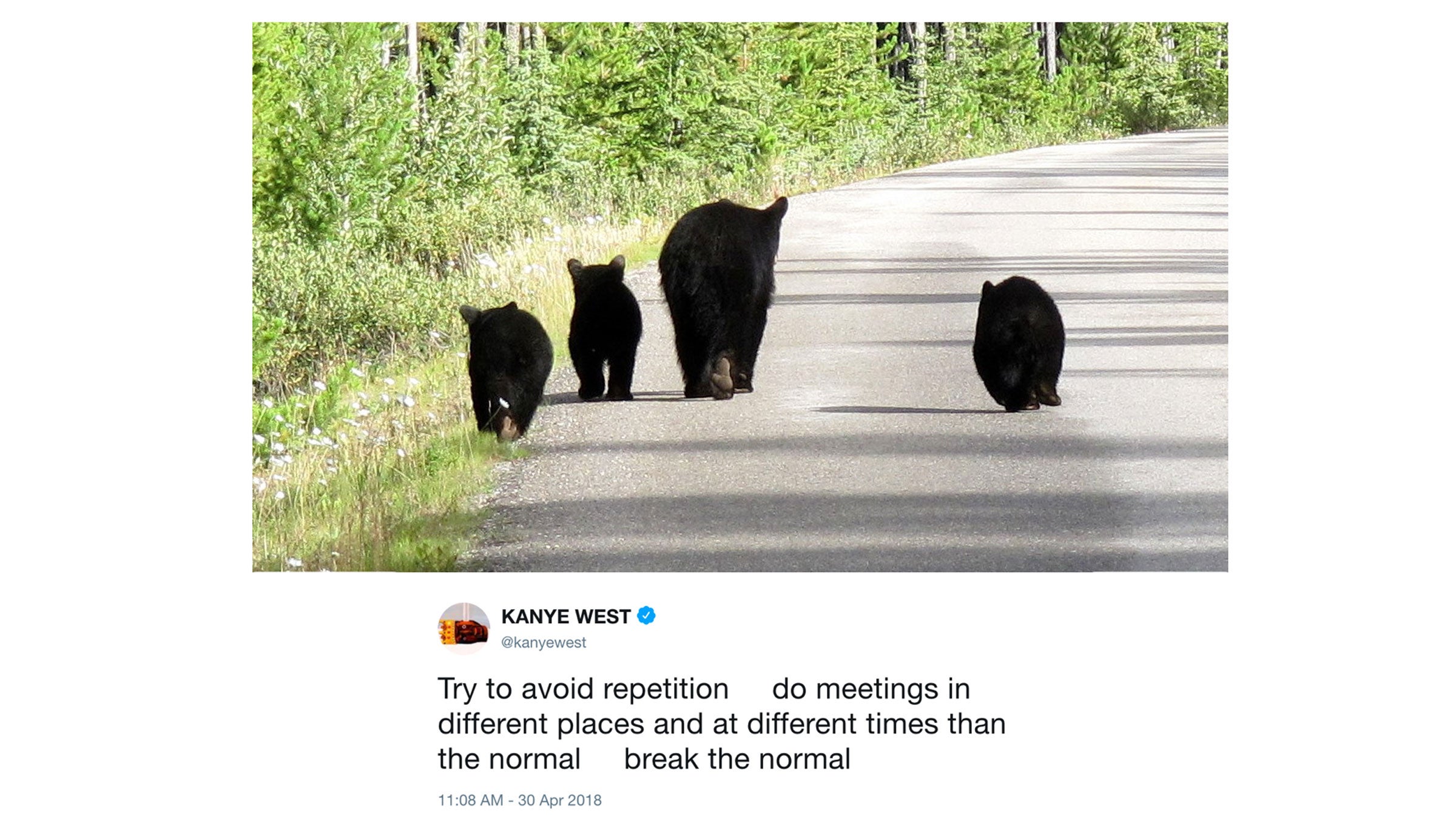No one has mashed up Kanye Tweets with photos of bears before.
