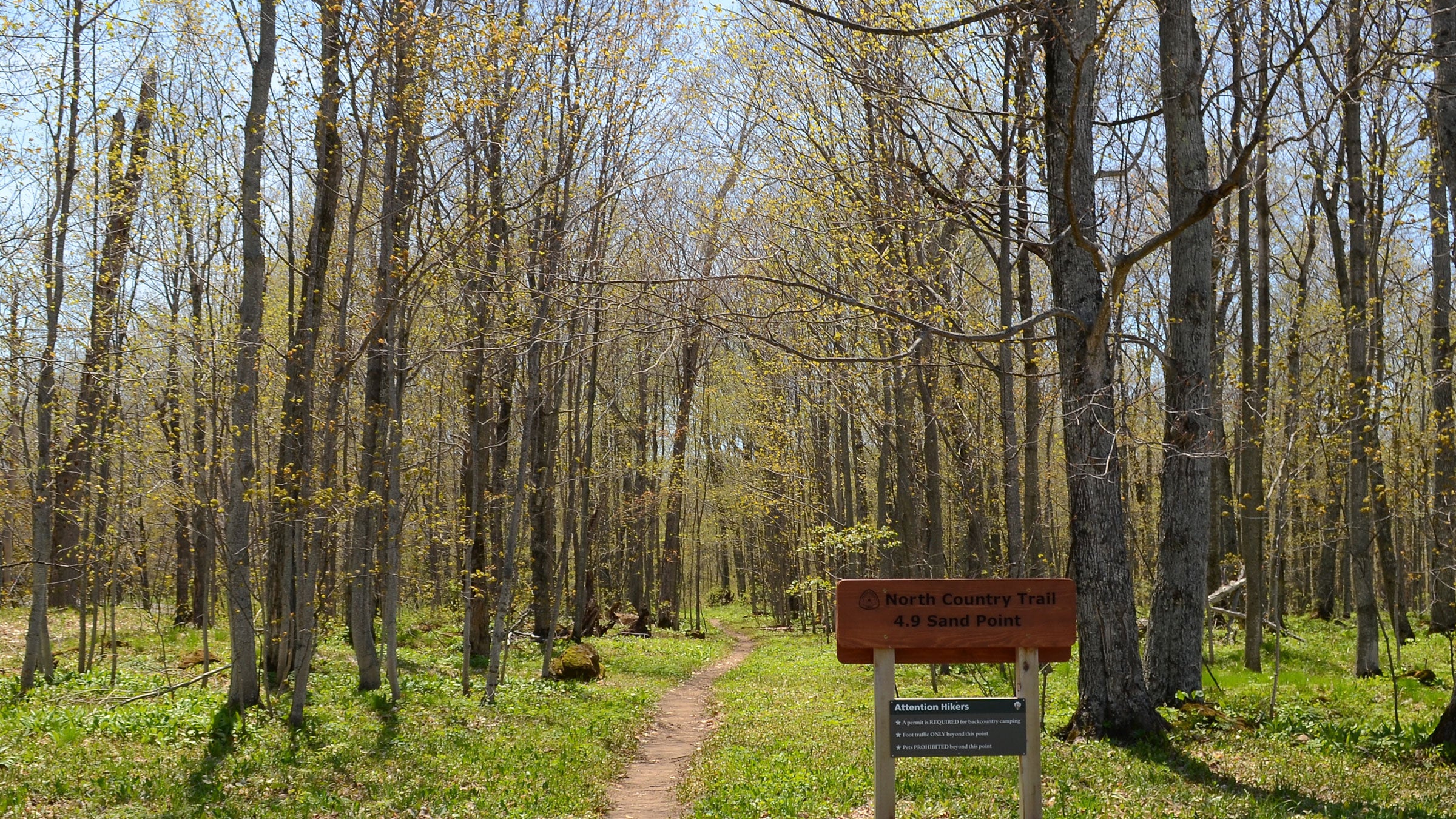 The North Country Trail was first proposed in 1966 and received federal approval as a scenic trail nearly 40 years ago. It is nowhere near finished today.