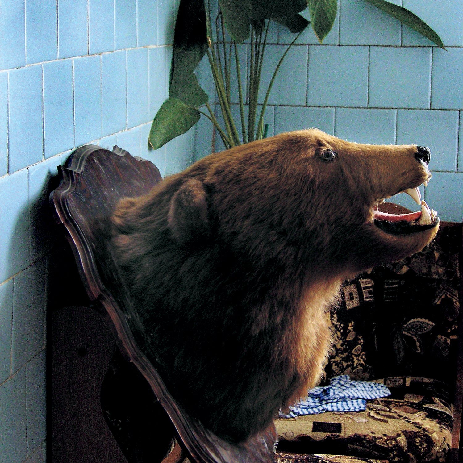 A trophy in a defunct Soviet warehouse outside the capital