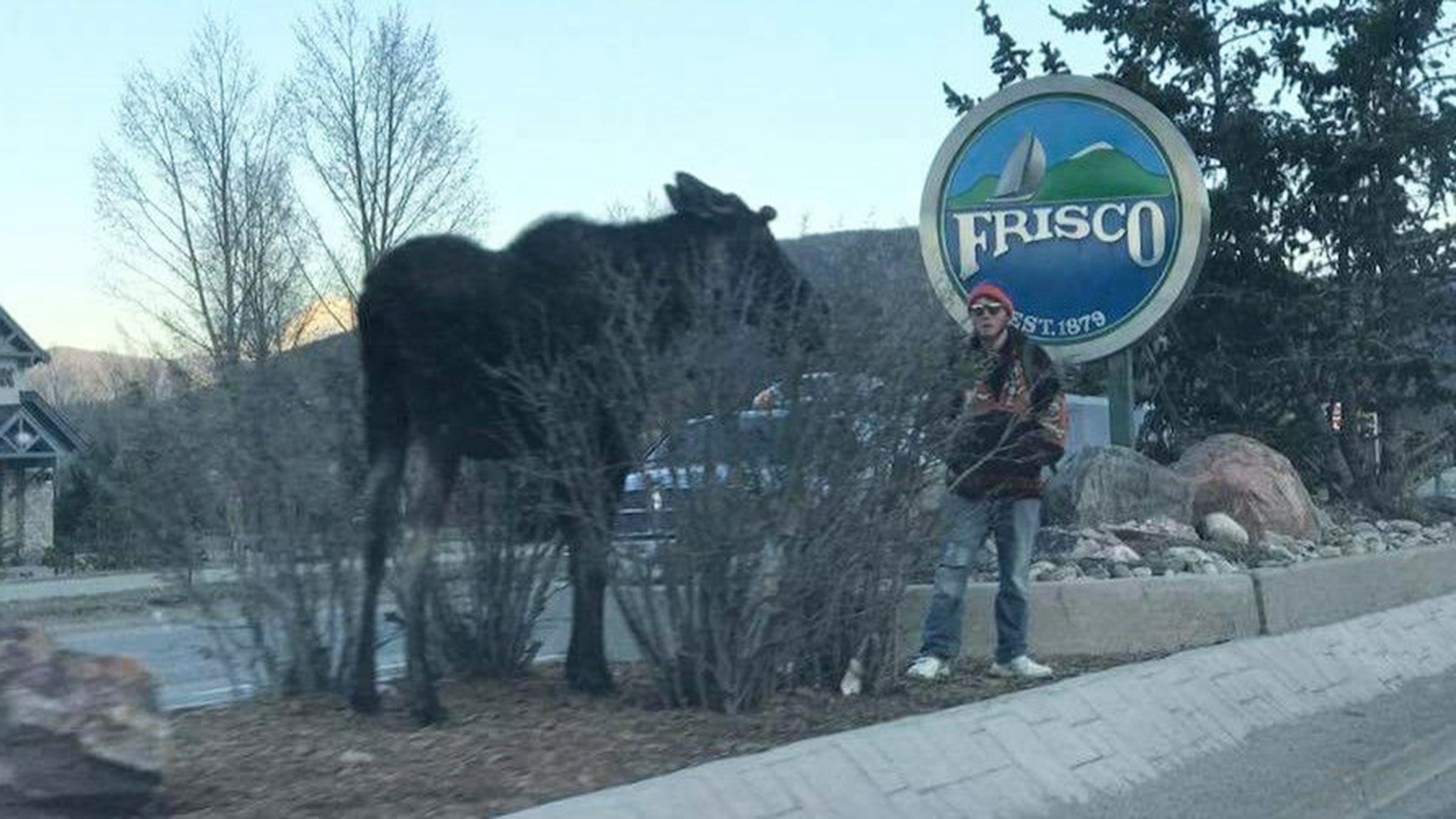 This is just one of three recent moose-related incidents that Colorado Parks and Wildlife has been investigating using social media.