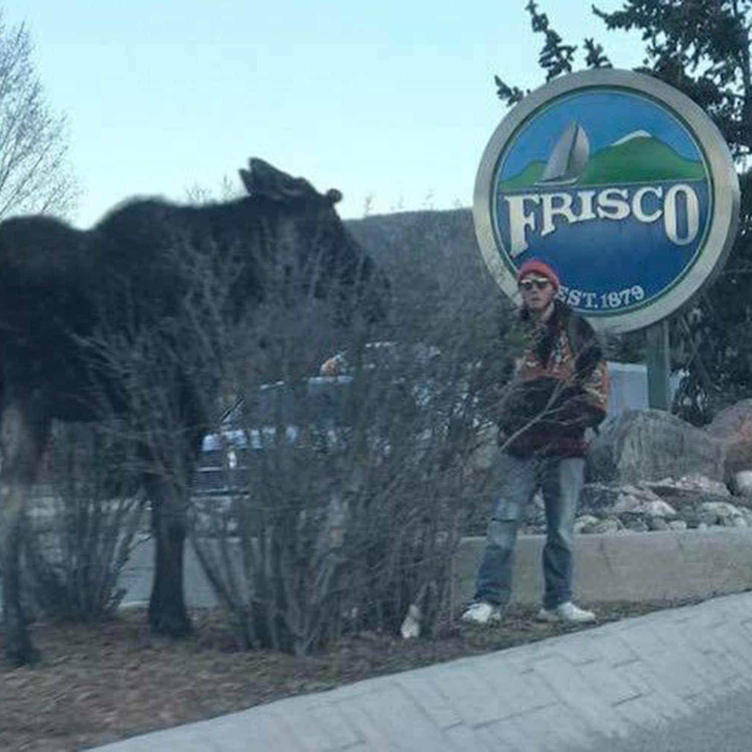 This is just one of three recent moose-related incidents that Colorado Parks and Wildlife has been investigating using social media.