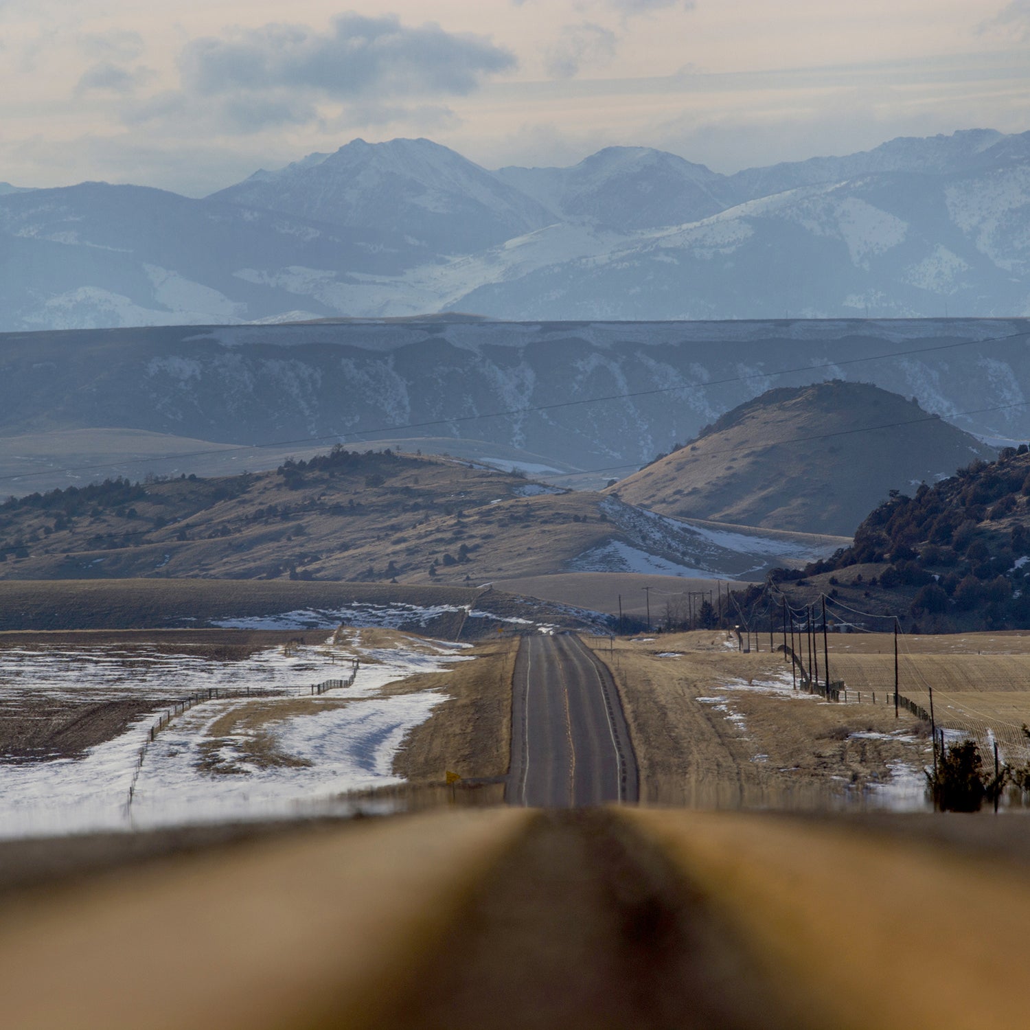 Big Sky Country averages seven people, one pronghorn antelope, one elk, and three deer per square mile.