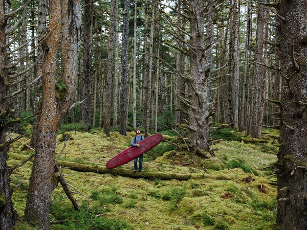 Book a three-night stay and head out each day to scope bald eagles in the rainforest, tour native villages, or launch kayaks and paddleboards into the fjords to spy on orcas.