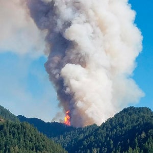 Obviously, what the kid did was stupid. But does the punishment fit the crime?