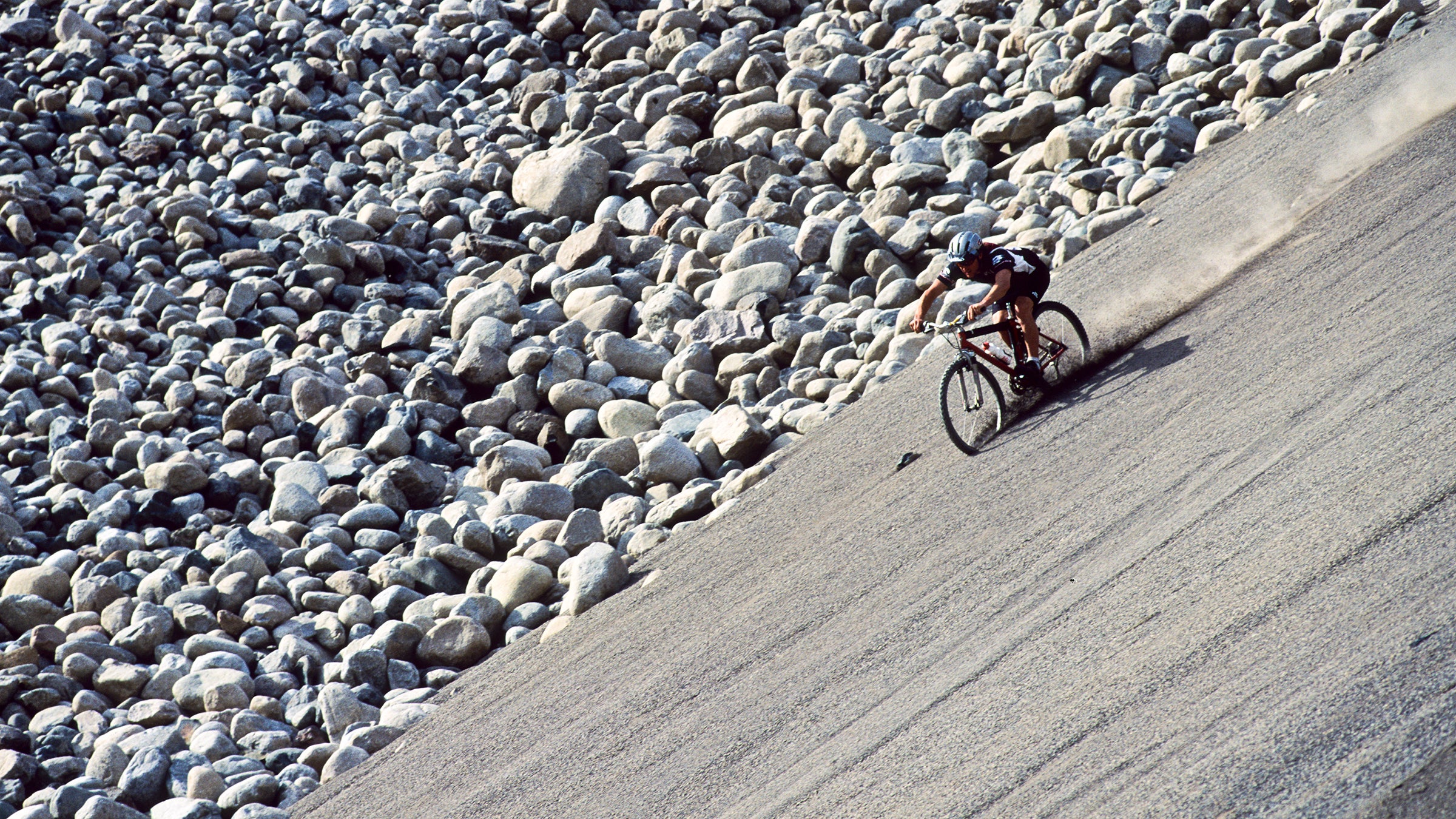 This year’s films touch on how people, animals, and ideas move and change.