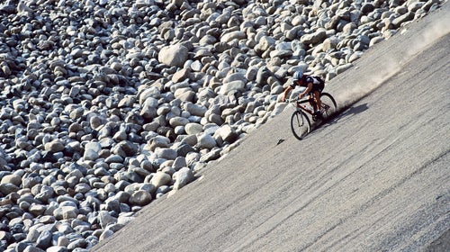 This year’s films touch on how people, animals, and ideas move and change.