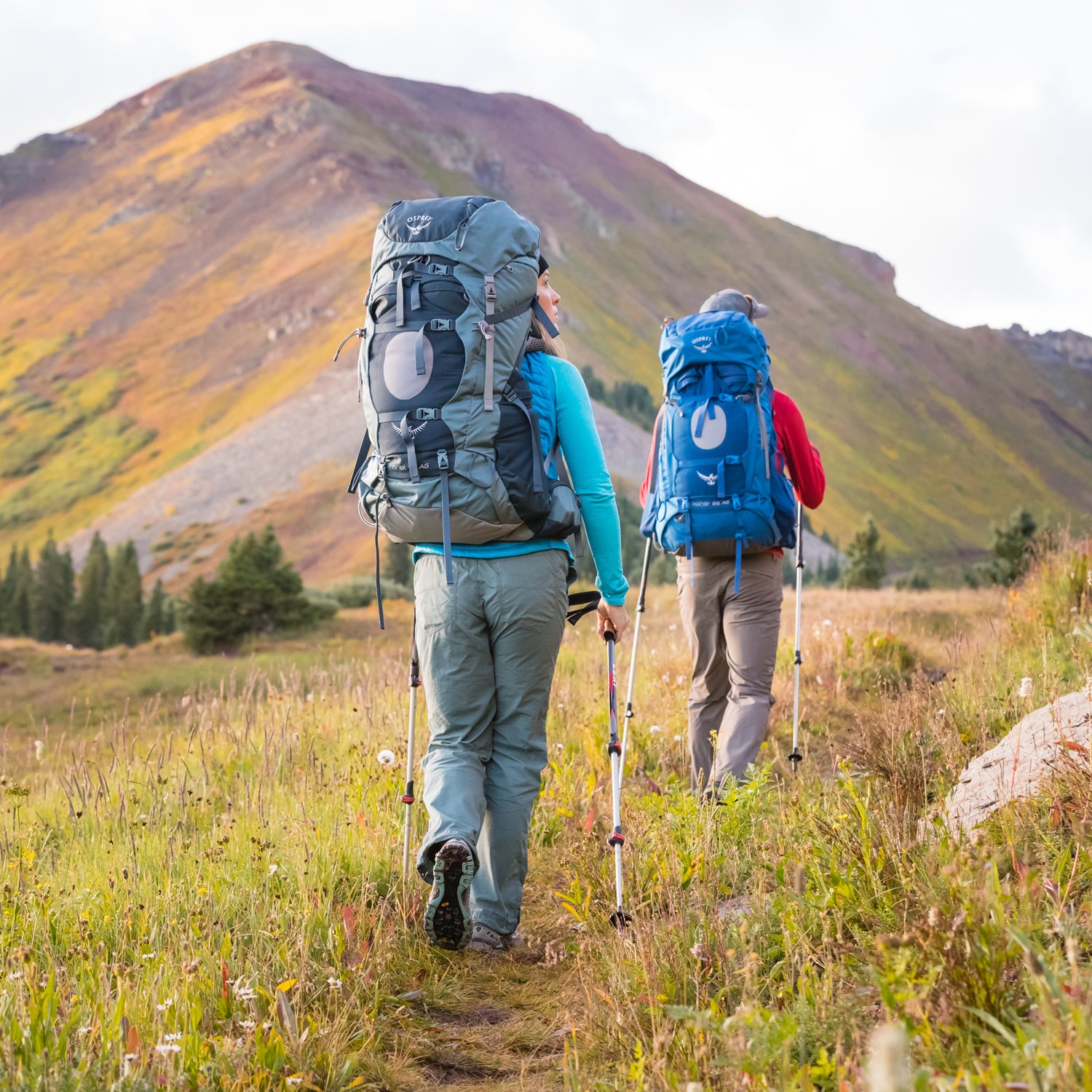 10 Best Women's Daypacks For Hiking Uprooted Traveler, 41% OFF