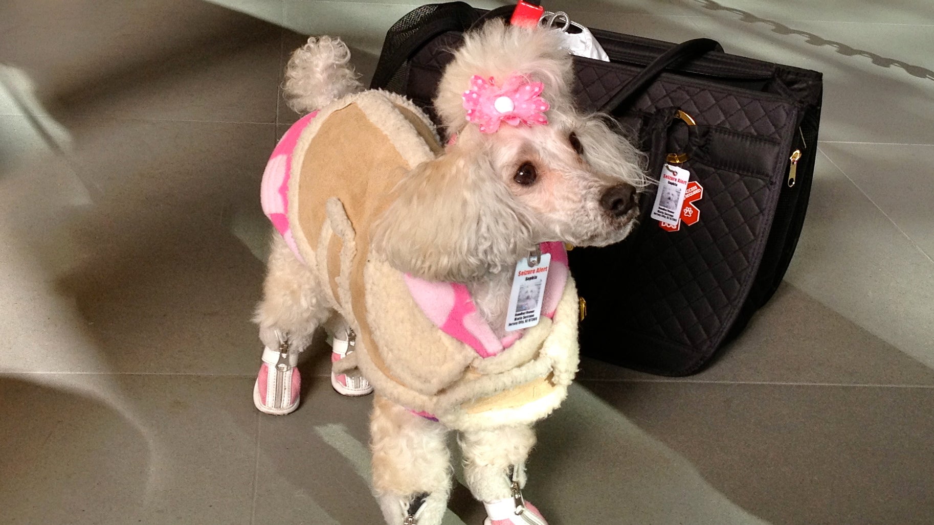 All dressed up for air travel. 