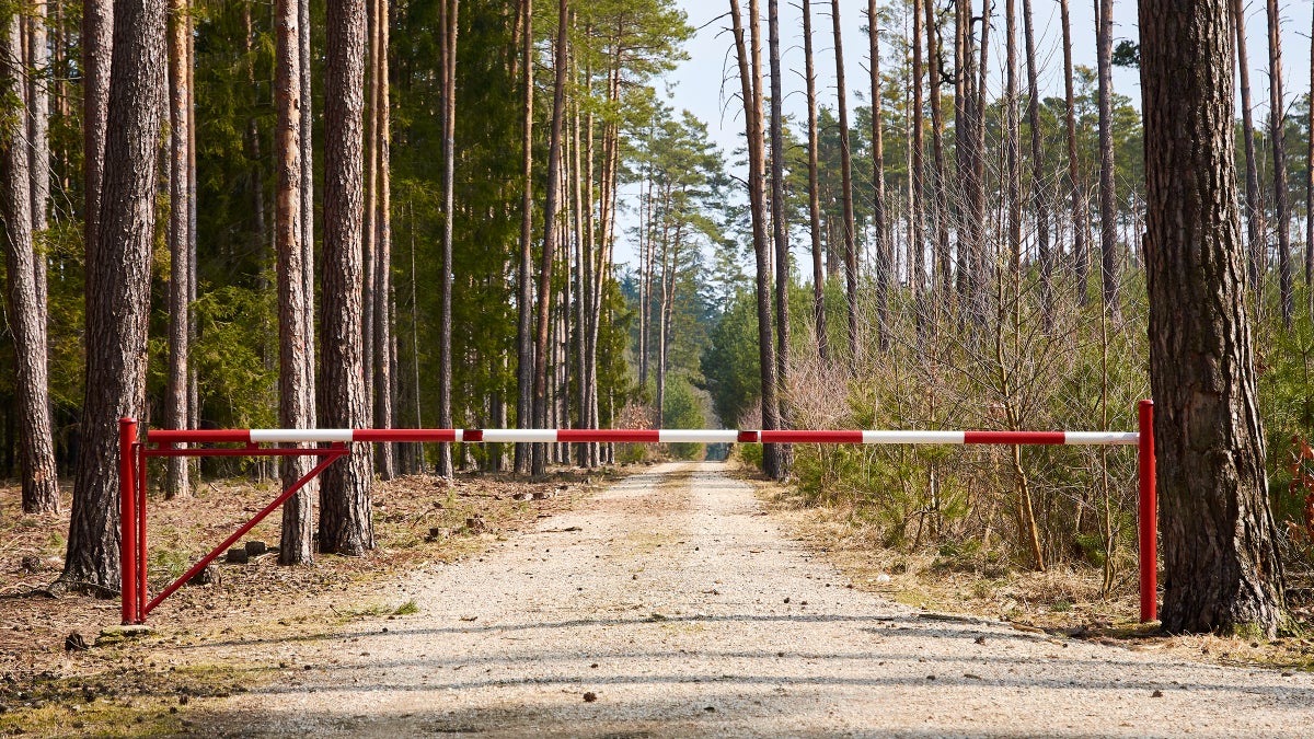 It's So Dry, Forests Across the Southwest Are Closing