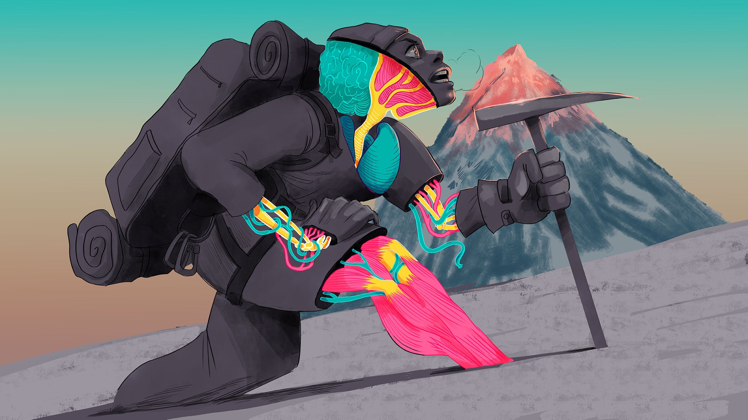 Your body on Everest is working overtime.