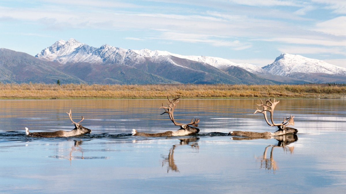 6 Under-the-Radar National Parks You Should Visit