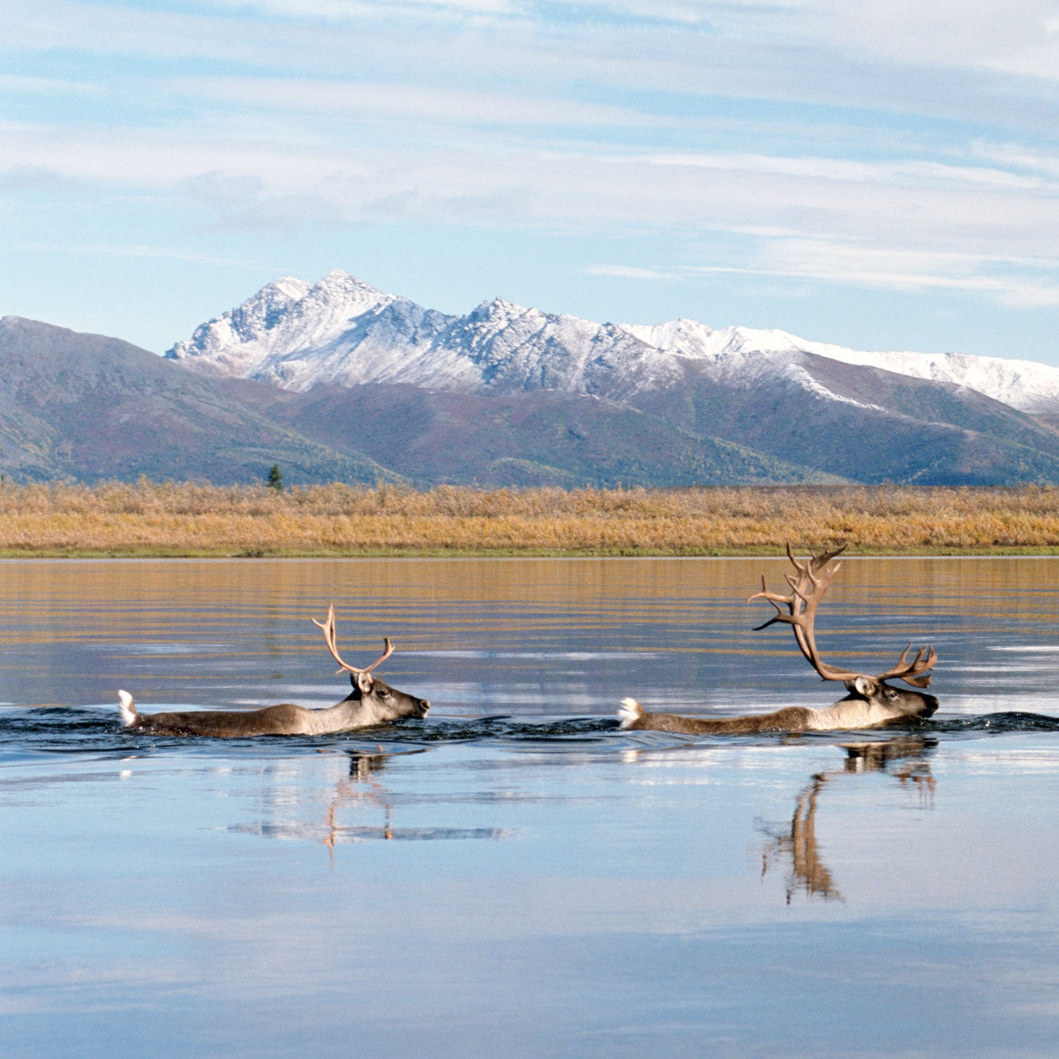 It’s time to visit some of America’s lesser-known National Parks—places that see less crowds but are equally astounding.