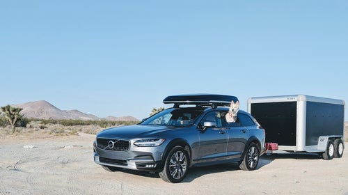 Bowie, excited for a rare pit stop.