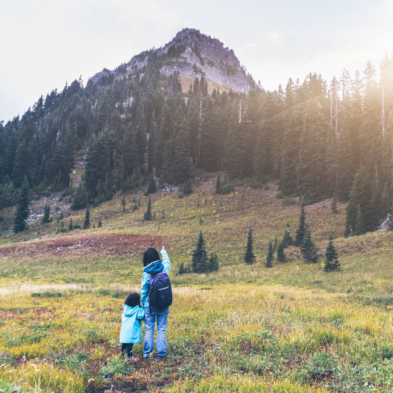 At 14,410 feet above sea level, Mount Rainier is a magnificent fourteener to summit with your budding peakbagger.