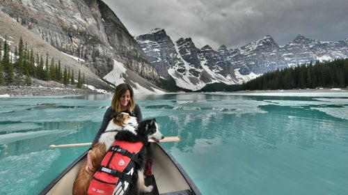 Here are some of her best practices for how to take any kind of dog (including your own local shelter dogs) into the wilderness.