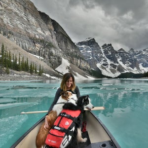 Here are some of her best practices for how to take any kind of dog (including your own local shelter dogs) into the wilderness.