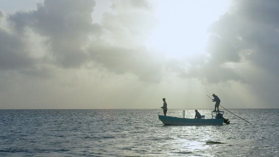 ‘Beyond the Horizon’