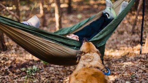 Don't snooze on our culture picks of June.