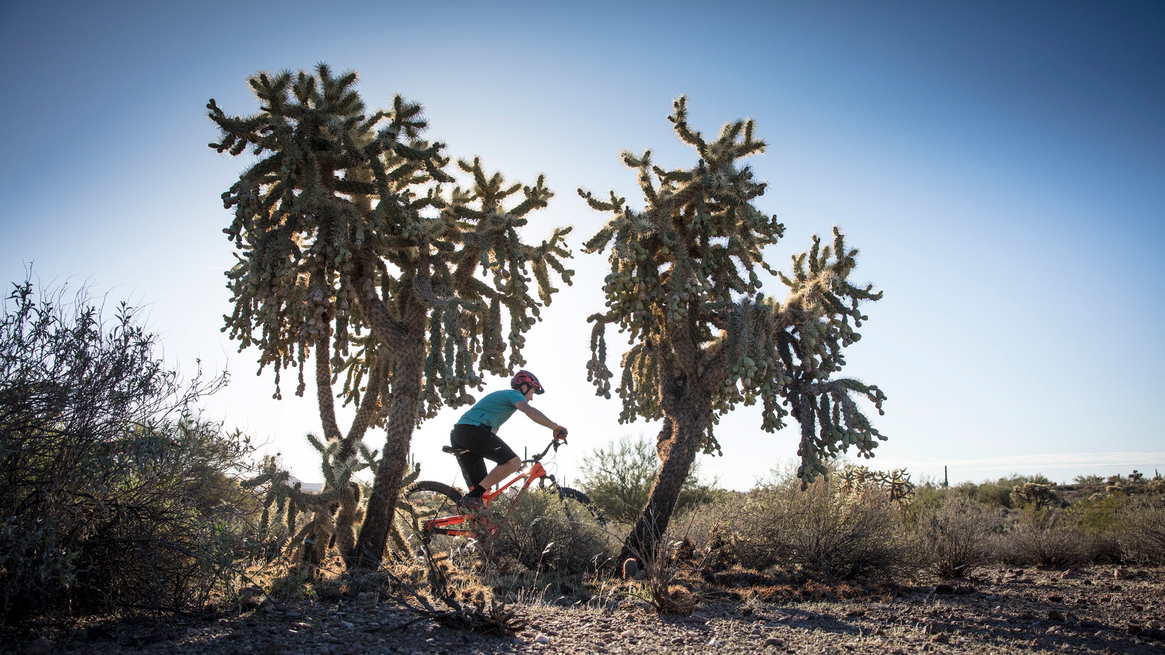 I'm continually amazed by how many great trails and hikes aren’t documented.
