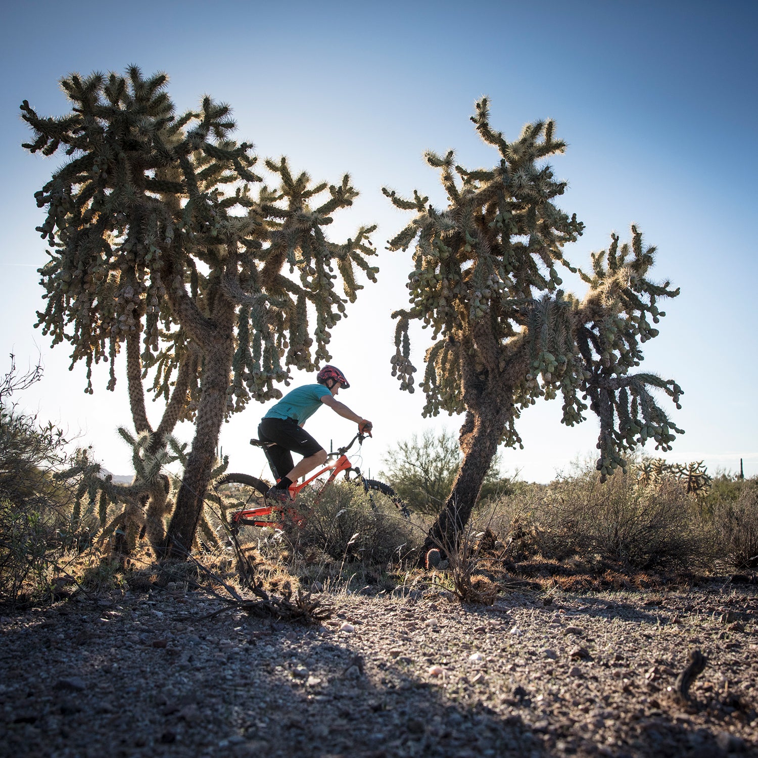 I'm continually amazed by how many great trails and hikes aren’t documented.