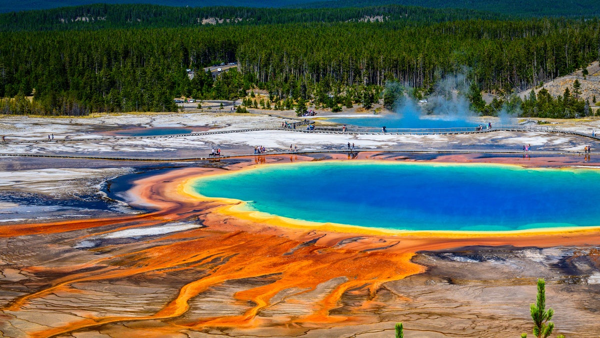 The Terrible State of Our National Parks—in Photos