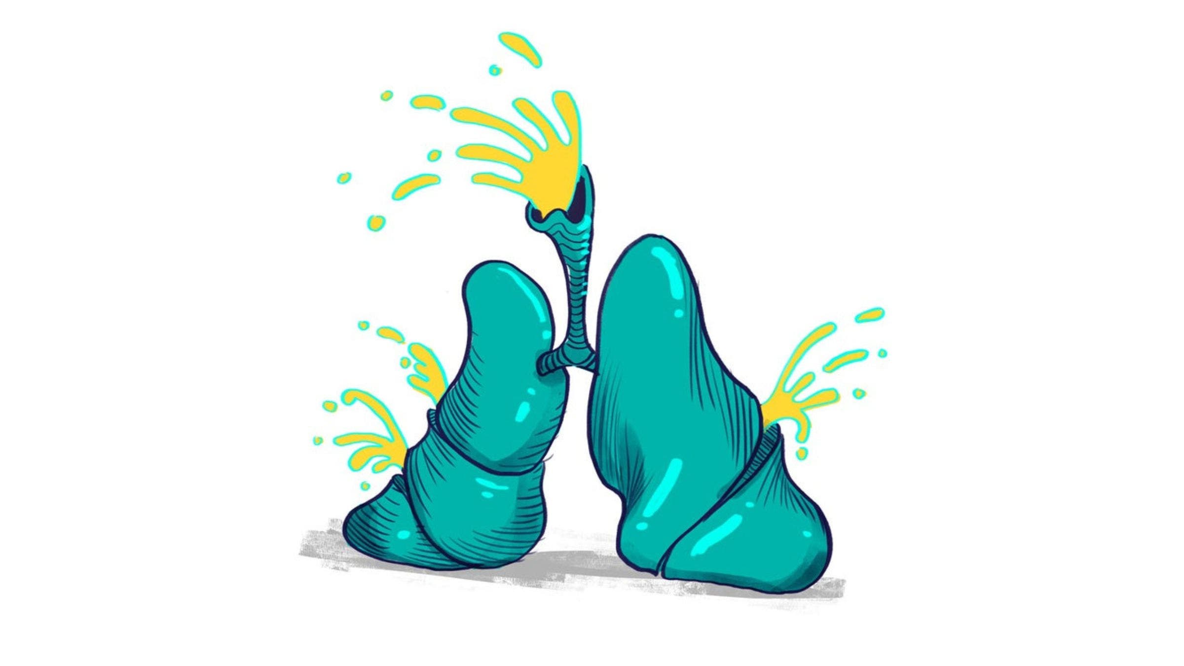 lungs illustration