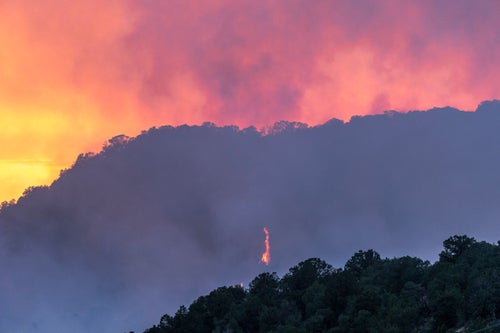July 3rd: 8:30 P.M. At dusk, the helicopters cease operation due to flight curfews as a few stubborn flames lick a far ridge. All the neighbors on my street gather on the west end discussing what to do. Some are in tears, others are already packing up, but most feel confident that the light easterly wind is favorable and we should be safe. I stay in communication via text with neighbors who take turns keeping watch throughout the night. We all know the hill above us is a juniper tinderbox.