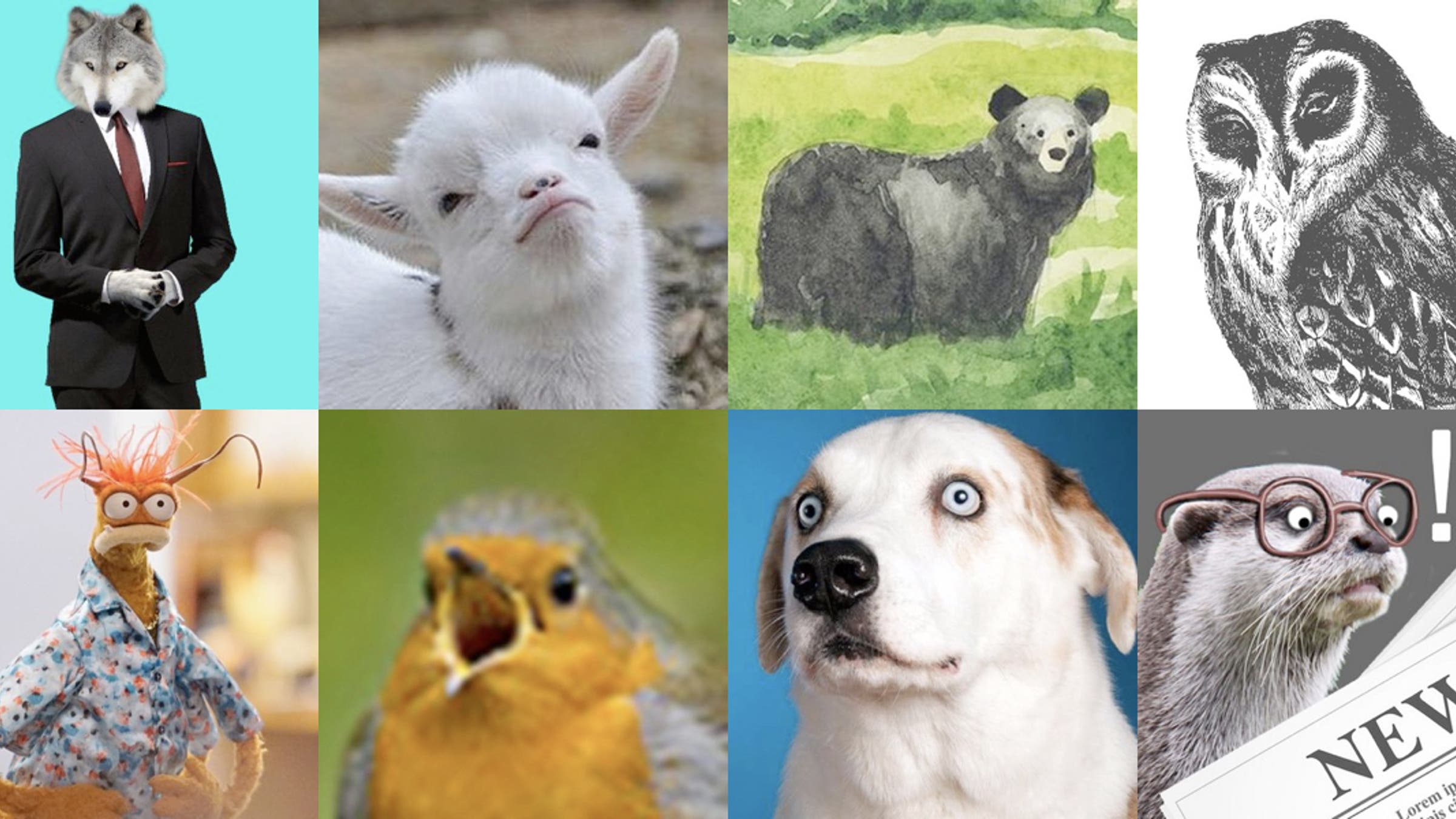 Twitter Creatures 10 Animal Twitter Accounts That Will Improve Your Life