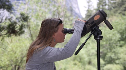 Biologist Crystal Barnes scanning a cliff in Yosemite for peregrines.