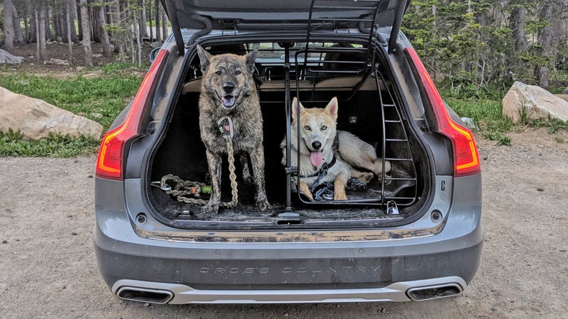 The dog containment system in this 2018 Volvo V90 Cross Country attaches to the vehicle's frame, so it's as strong as possible. Because it closely follows the contours of the load area and tailgate, it maximizes the space available to the dogs. Wiley knows to wait until he's told it's OK to jump out, but Bowie's just a year old and benefits from the added security of the lockable gate. The divider means one dog can be carried comfortably next to luggage without risk of it shifting onto the dog. It also allows both dogs to remain comfortable and secure, even while the vehicle tackles high-speed corners or bumpy off-road terrain.