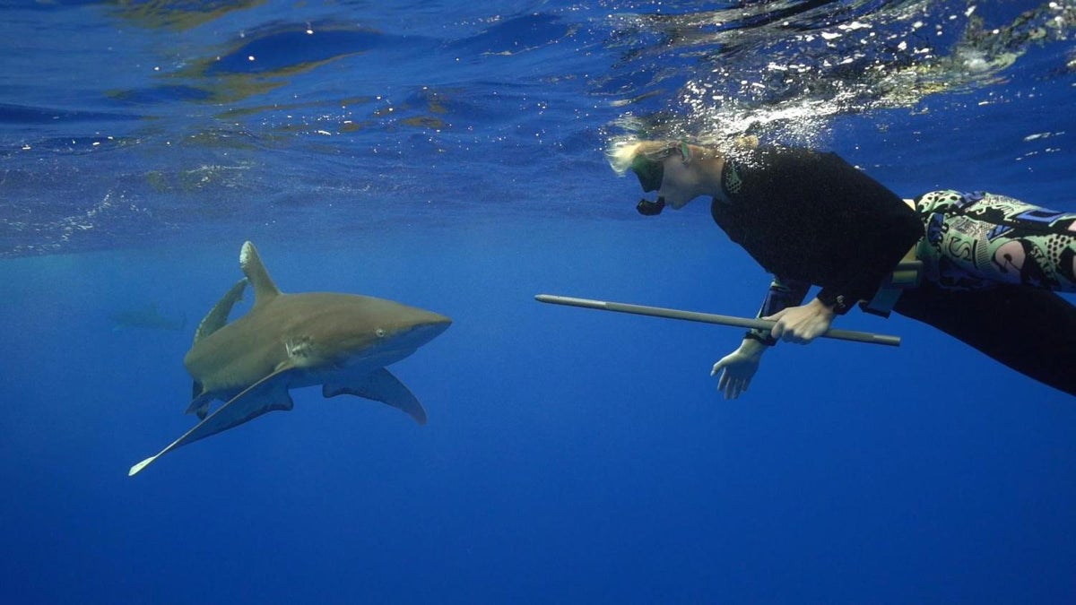 What Shark Experts Really Think About Shark Week - Outside Online