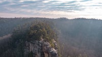 red river gorge forest rocks