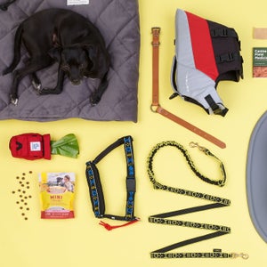 Here's what you need to adventure with your dog.
