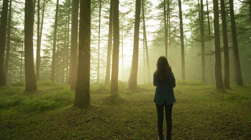 Dedicated nature time doesn't just feel good, it is good.