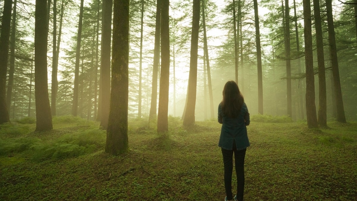 Communing with the Forest Bathers