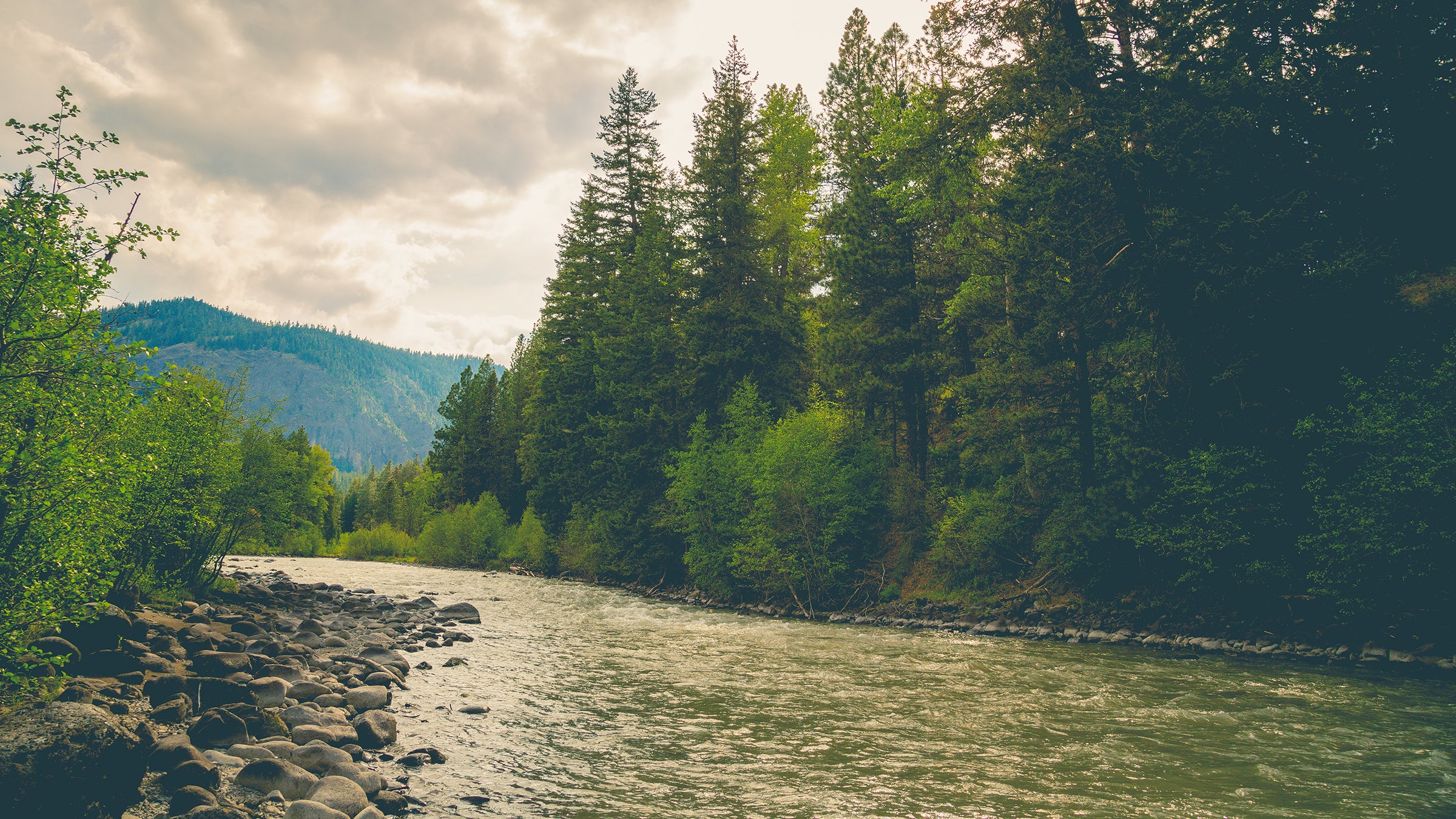 The program on the Mount Baker-Snoqualmie National Forest is the first of its kind in the country.