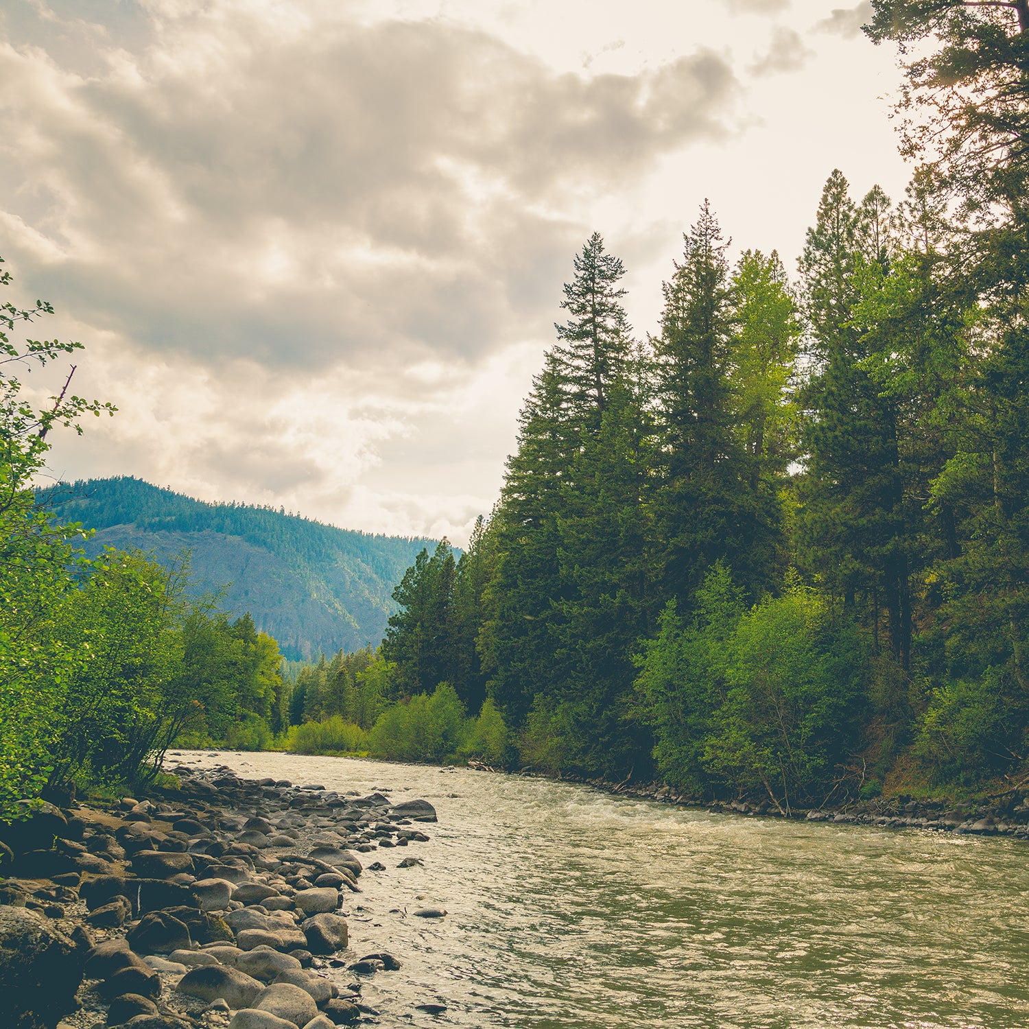 The program on the Mount Baker-Snoqualmie National Forest is the first of its kind in the country.