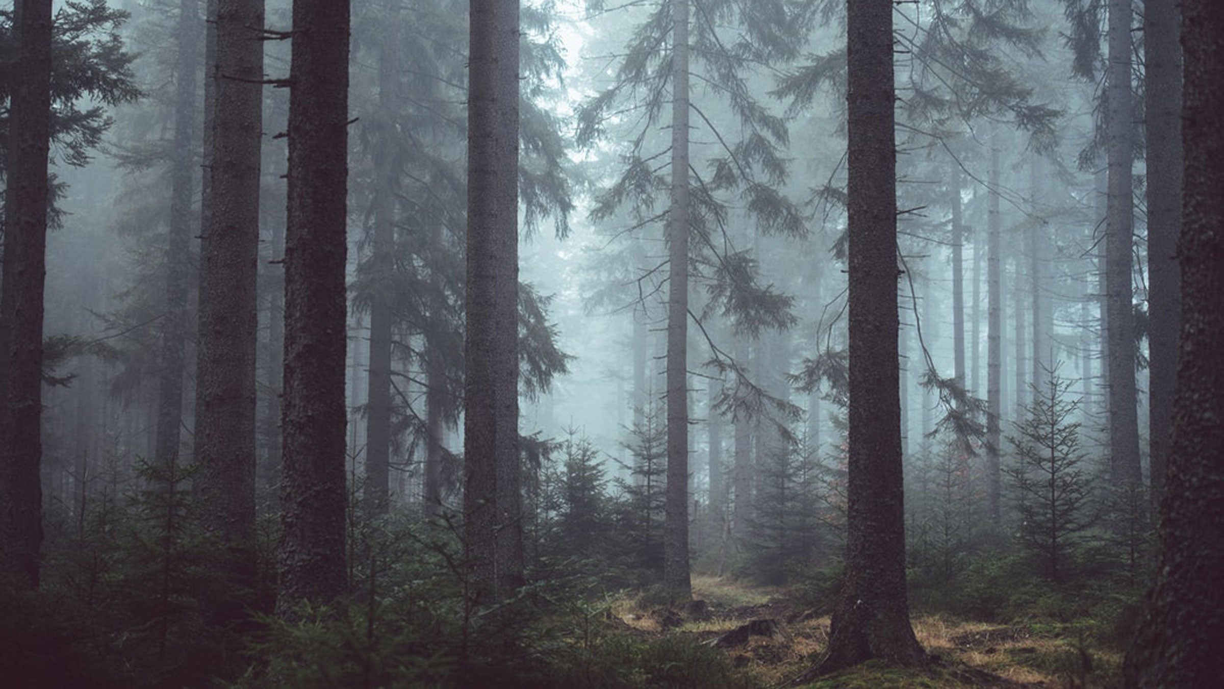 Female Forest Service employees have been harrassed, silenced, and swept aside. It's still happening today. 