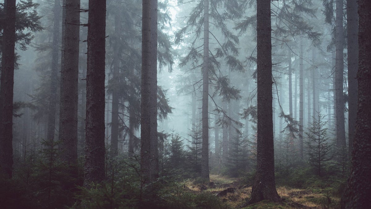 The Forest Service Is Silencing Women