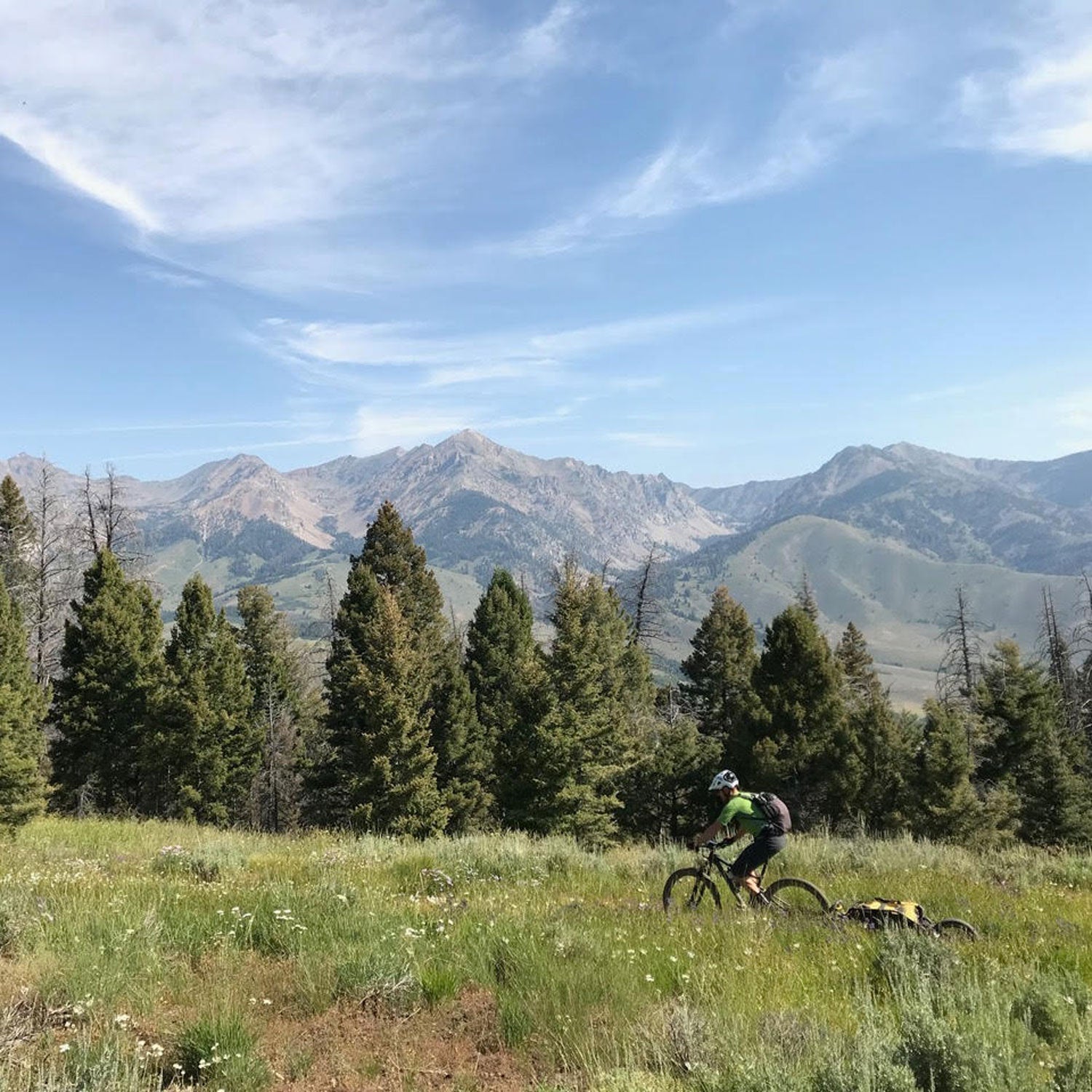 The Best Way To Clean Your Bikepacking Rig? (Video) 