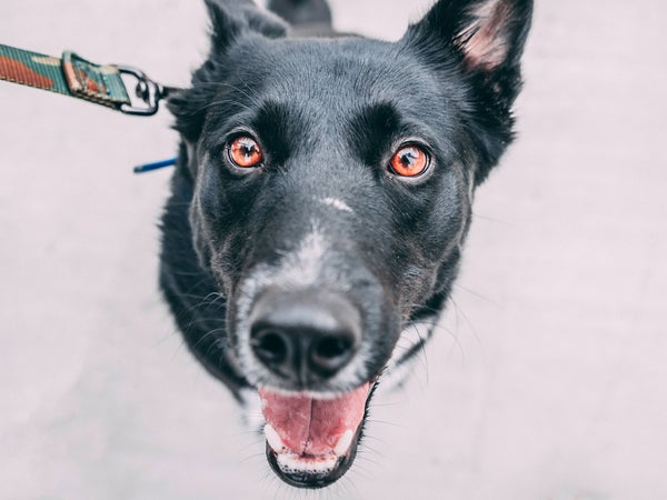 Happiness isn't a feeling, it's a practice.