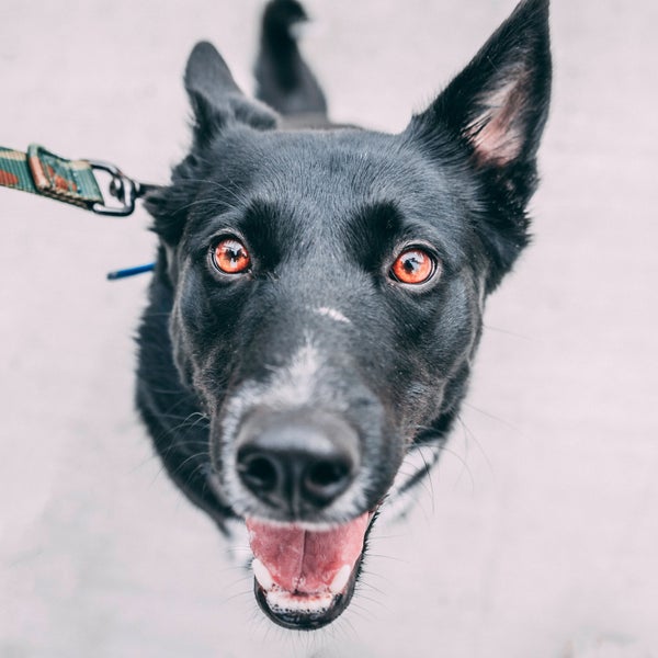 Happiness isn't a feeling, it's a practice.