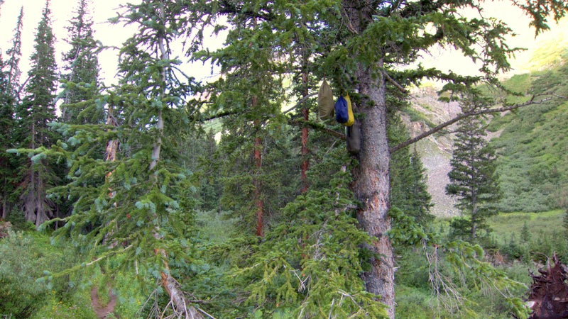 A typical “bear hang” on the Aspen Four Pass Loop. They could have saved themselves the hassle by just leaving it on the ground—it would have been no less effective.