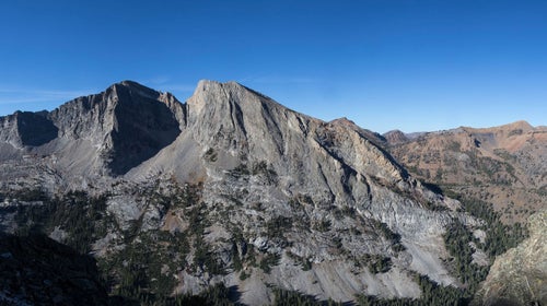 She dialed 911, anyway. Nothing. “Searching,” the screen declared with perfect indifference.