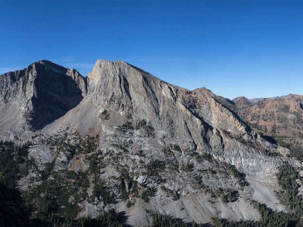 She dialed 911, anyway. Nothing. “Searching,” the screen declared with perfect indifference.